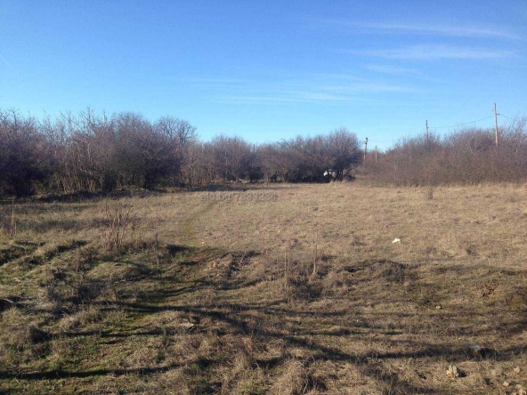 Парцел в с. Бежаново, Област Добрич - 3830 кв.м за 3 €/кв.м - Снимка #1