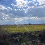 Парцел в Пловдив, Индустриална зона - Север - 3000 кв.м за 11 €/кв.м - Снимка #1