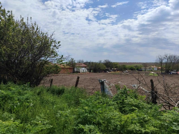 Парцел в с. Полковник Минково, Област Добрич - 2000 кв.м за 6 €/кв.м - Снимка #1