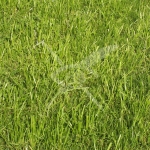 Земеделски имот в с. Цалапица, Област Пловдив -  кв.м за 3 €/дка - Снимка #1