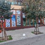 Магазин в Бургас, Сарафово - 146 кв.м за 1082 €/кв.м - Снимка #1