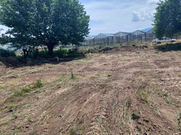 Парцел в Сандански - 2500 кв.м за 26 €/кв.м - Снимка #1