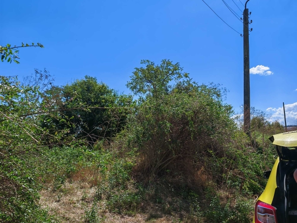 Парцел в с. Маленово, Област Ямбол - 2000 кв.м за 1 €/кв.м - Снимка #1