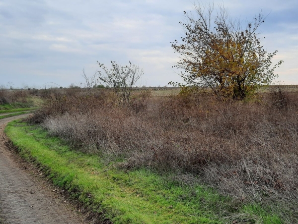 Парцел в Поморие - 1000 кв.м за 4 €/кв.м - Снимка #1