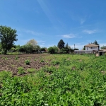 Парцел в с. Козлодуйци, Област Добрич - 1070 кв.м за 14 €/кв.м - Снимка #1