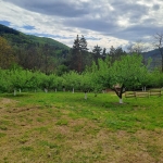 Къща в София, 7-ми 11-ти километър - 103 кв.м за 805 €/кв.м - Снимка #1