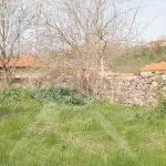 Парцел в с. Брягово, Област Пловдив - 930 кв.м за 11 €/кв.м - Снимка #1