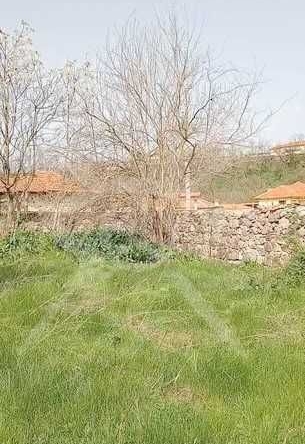 Парцел в с. Брягово, Област Пловдив - 930 кв.м за 11 €/кв.м - Снимка #1