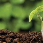 Земеделски имот в София, Център -  кв.м за 689 €/дка - Снимка #1