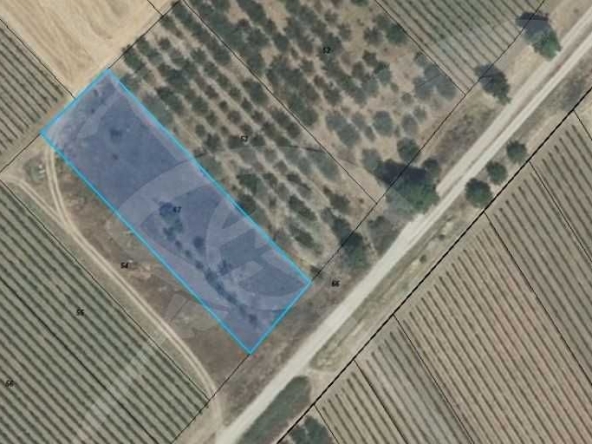 Парцел в с. Брестник, Област Пловдив - 2940 кв.м за 16 €/кв.м - Снимка #1