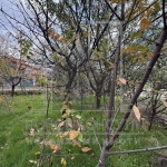 Парцел в с. Брестник, Област Пловдив - 594 кв.м за 69 €/кв.м - Снимка #1