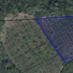 Парцел в с. Храбрино, Област Пловдив - 3677 кв.м за 5 €/кв.м - Снимка #1