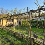 Къща в с. Ветрен, Област Силистра - 920 кв.м за 9 €/кв.м - Снимка #1