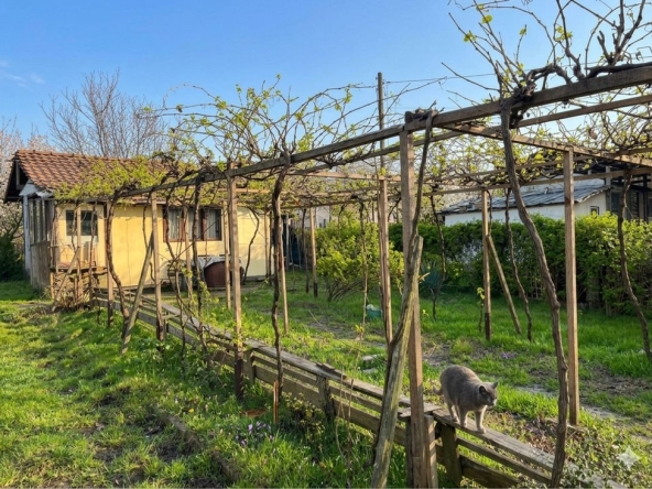 Къща в с. Ветрен, Област Силистра - 920 кв.м за 9 €/кв.м - Снимка #1