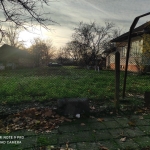 Къща в с. Сребърна, Област Силистра - 1500 кв.м за 12 €/кв.м - Снимка #1