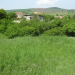 Парцел в с. Пожарево, Област София-област - 1241 кв.м за 21 €/кв.м - Снимка #1