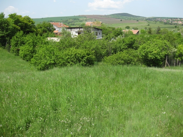 Парцел в с. Пожарево, Област София-област - 1241 кв.м за 21 €/кв.м - Снимка #1