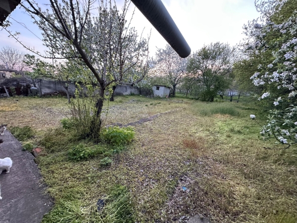 Парцел в Завет - 500 кв.м за 10 €/кв.м - Снимка #1