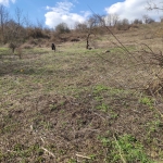 Парцел в с. Лозница, Област Добрич - 10001 кв.м за 1 €/кв.м - Снимка #1