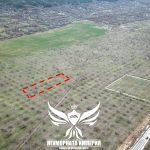 Парцел в Асеновград - 1500 кв.м за 7 €/кв.м - Снимка #1