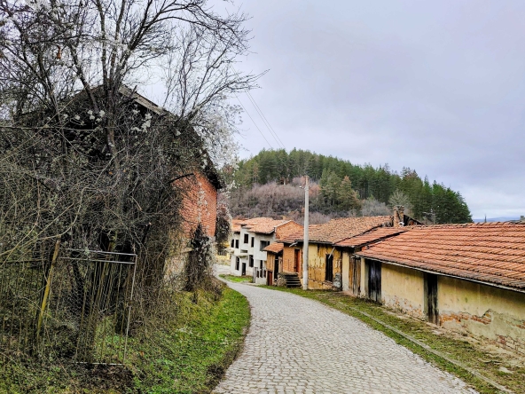 Парцел в с. Дивля, Област Перник - 980 кв.м за 7 €/кв.м - Снимка #1