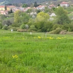 Земеделски имот в Дебелец -  кв.м за 7 €/дка - Снимка #1