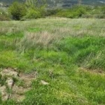 Парцел в Свети Влас - 1090 кв.м за 49 €/кв.м - Снимка #1