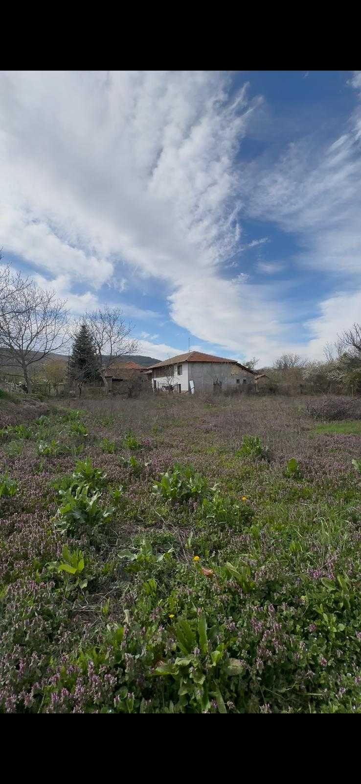 Парцел в Търговище, Център - 785 кв.м за 5 €/кв.м - Снимка #1