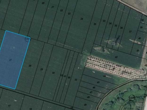 Земеделски имот в София, Требич -  кв.м за 1273 €/дка - Снимка #1