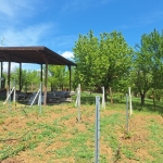 Парцел в с. Мърводол, Област Кюстендил - 1250 кв.м за 16 €/кв.м - Снимка #1