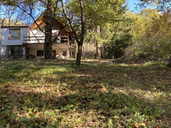 Къща в с. Царичина, Област София-област - 800 кв.м за 12 €/кв.м - Снимка #1