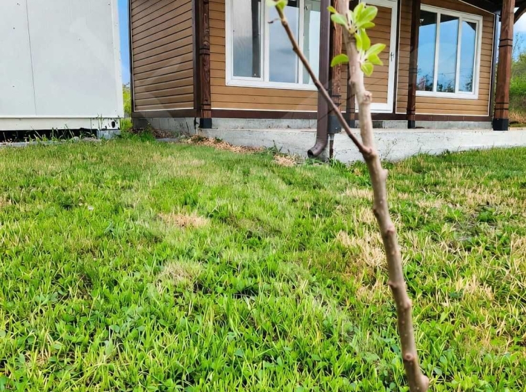 Къща в Бургас, Банево - 42 кв.м за 1120 €/кв.м - Снимка #1