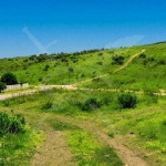 Парцел в Бургас, Банево - 2000 кв.м за 59 €/кв.м - Снимка #1