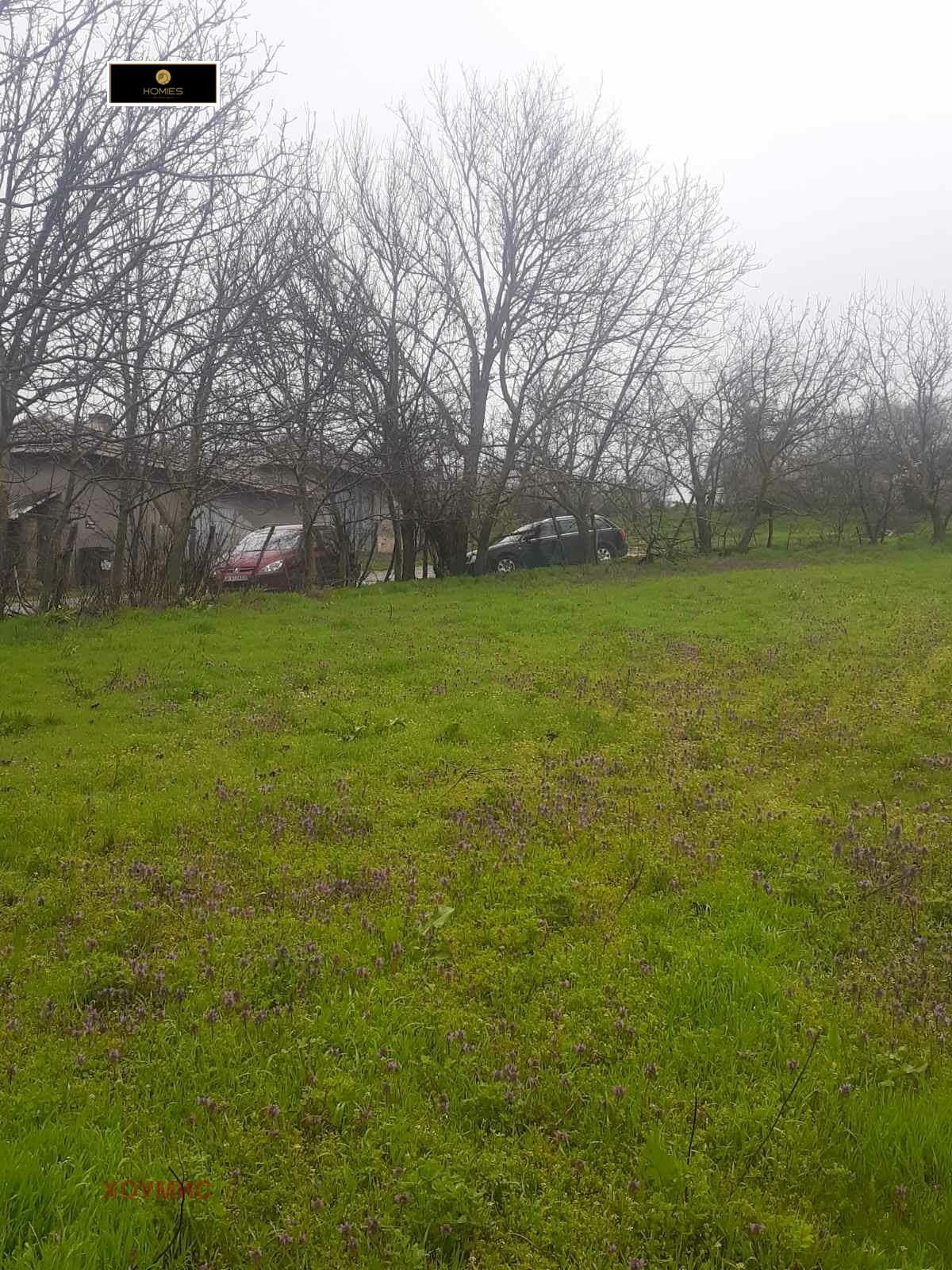 Парцел в с. Кошарна, Област Русе - 1620 кв.м за 3 €/кв.м - Снимка #1