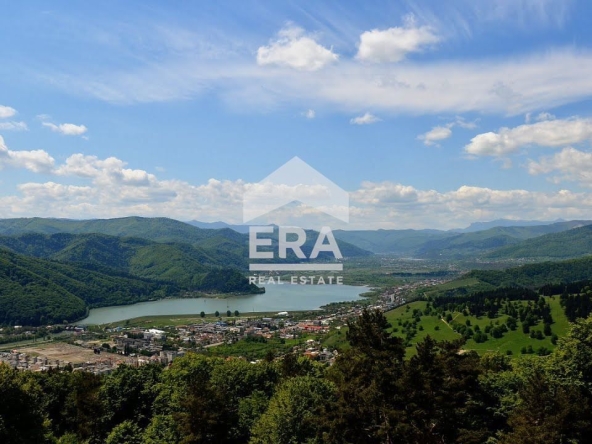 Парцел в Сърница - 11108 кв.м за 20 €/кв.м - Снимка #1