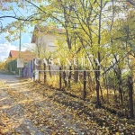 Къща в с. Драгоил, Област София-област - 132 кв.м за 338 €/кв.м - Снимка #1