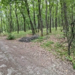 Парцел в с. Кралев дол, Област Перник - 7299 кв.м за 5 €/кв.м - Снимка #1