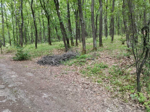 Парцел в с. Кралев дол, Област Перник - 7299 кв.м за 5 €/кв.м - Снимка #1