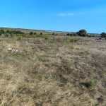 Парцел в с. Каменар, Област Бургас - 6500 кв.м за 52 €/кв.м - Снимка #1