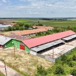Промишлена сграда в с. Белица, Област Силистра - 2134 кв.м за 352 €/кв.м - Снимка #1