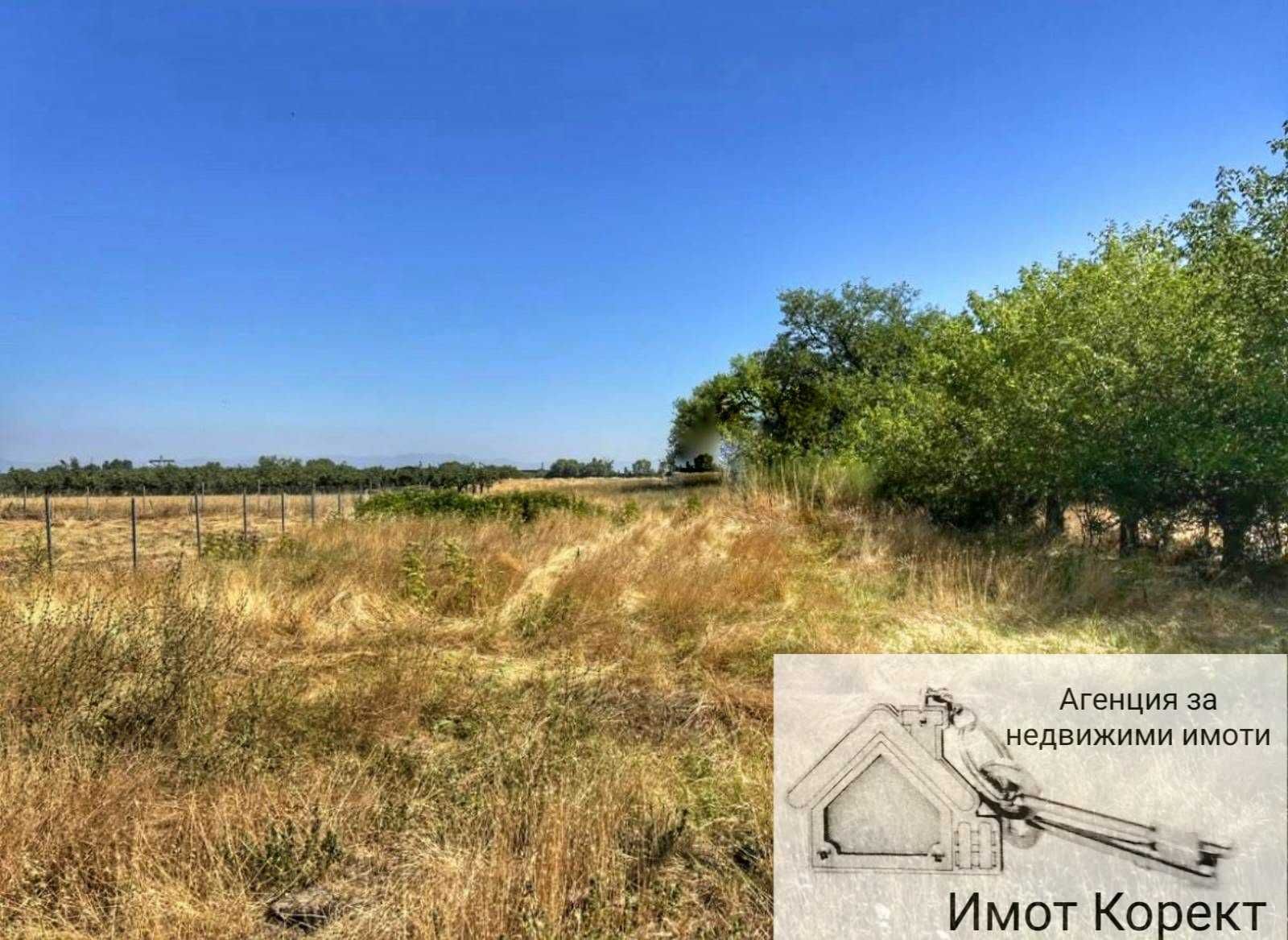 Парцел в с. Цалапица, Област Пловдив - 3181 кв.м за 49 €/кв.м - Снимка #1