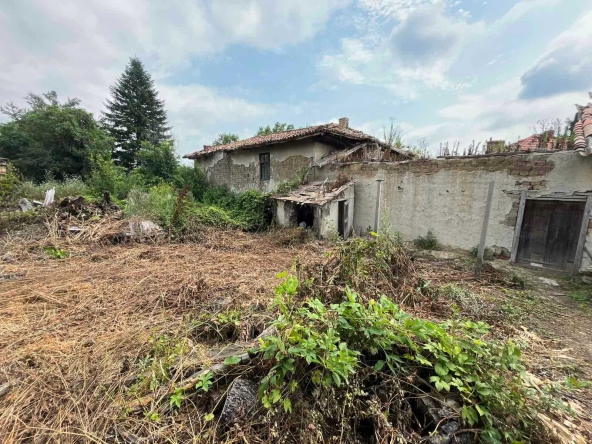 Парцел в с. Радко Димитриево, Област Шумен - 1000 кв.м за 45 €/кв.м - Снимка #1