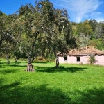 Къща в с. Добри лаки, Област Благоевград - 650 кв.м за 59 €/кв.м - Снимка #1