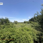 Парцел в Левски - 20000 кв.м за 4 €/кв.м - Снимка #1
