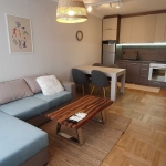 Дава се под наем Тристаен апартамент в София, Драгалевци - 110 кв.м за 520 € - Снимка #1