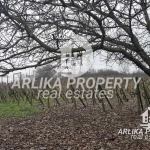 Парцел в Свиленград - 2045 кв.м за 57 €/кв.м - Снимка #1