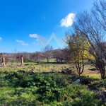 Парцел в с. Църква, Област Добрич - 4524 кв.м за 14 €/кв.м - Снимка #1