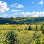 Парцел в с. Русаля, Област Велико Търново - 900 кв.м за 17 €/кв.м - Снимка #1