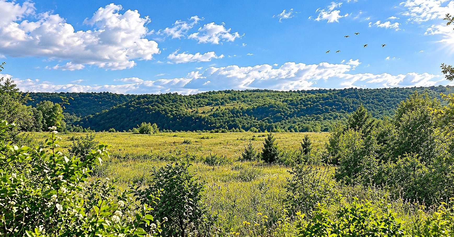 Парцел в с. Русаля, Област Велико Търново - 900 кв.м за 17 €/кв.м - Снимка #1