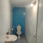 Къща в Перущица - 200 кв.м за 350 €/кв.м - Снимка #1
